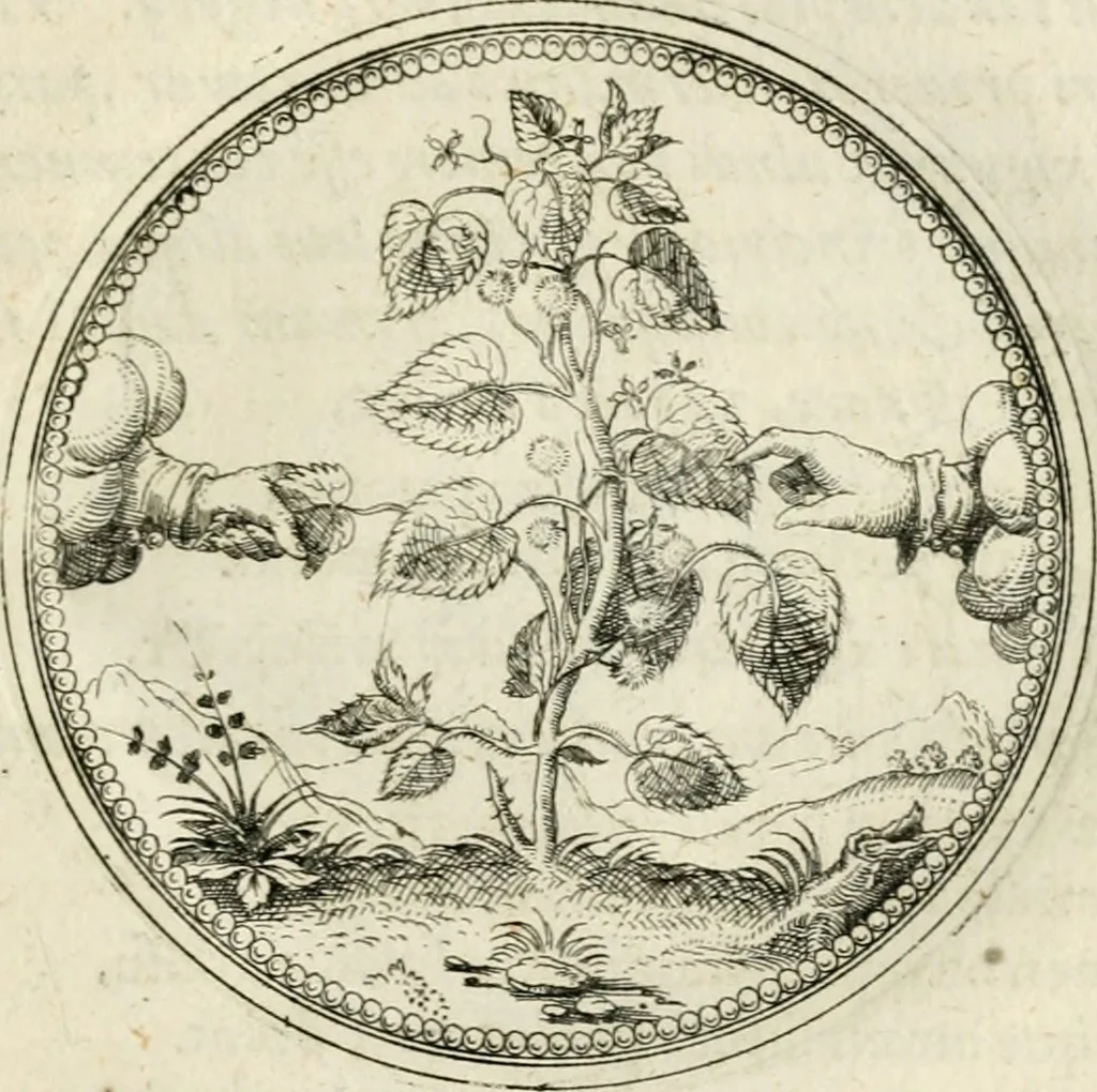 An illustration from Symbolorvm & emblematvm ex re herbaria desvmtorvm centvria vna, 1590, leaf 170
