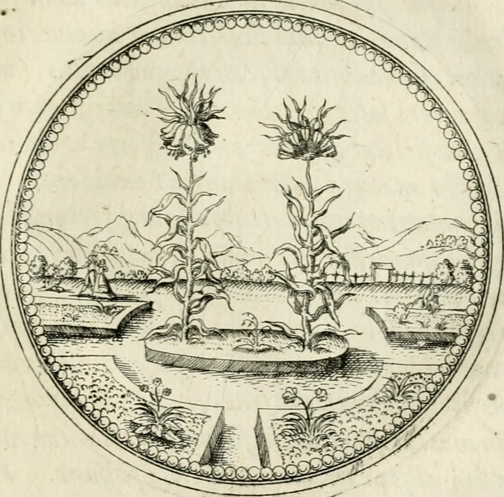 An illustration from Symbolorvm & emblematvm ex re herbaria desvmtorvm centvria vna, 1590, leaf 176