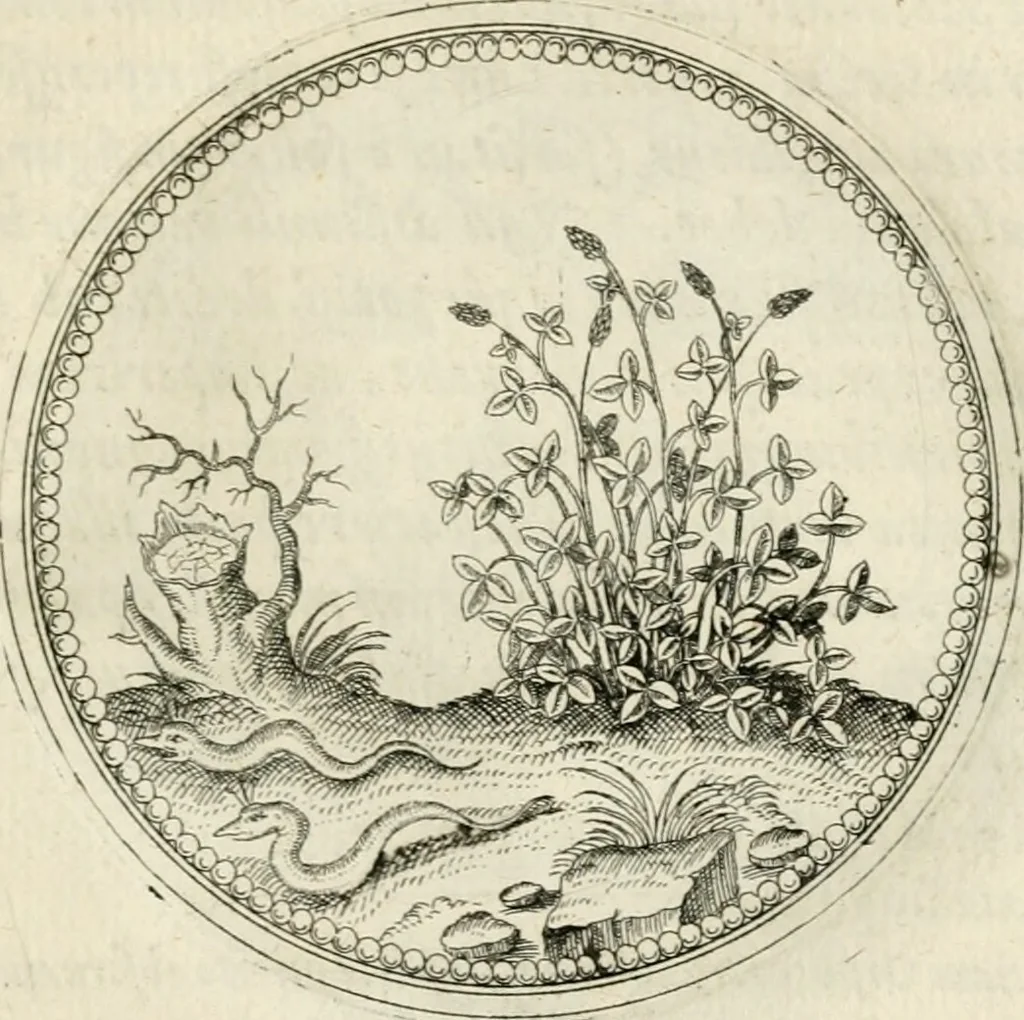 An illustration from Symbolorvm & emblematvm ex re herbaria desvmtorvm centvria vna, 1590, leaf 182
