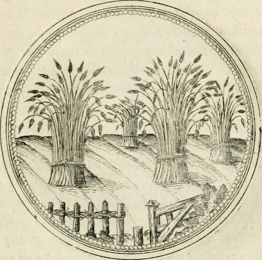 An illustration from Symbolorvm & emblematvm ex re herbaria desvmtorvm centvria vna, 1590, leaf 190