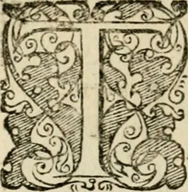 An illustration from Symbolorvm & emblematvm ex re herbaria desvmtorvm centvria vna, 1590, leaf 197