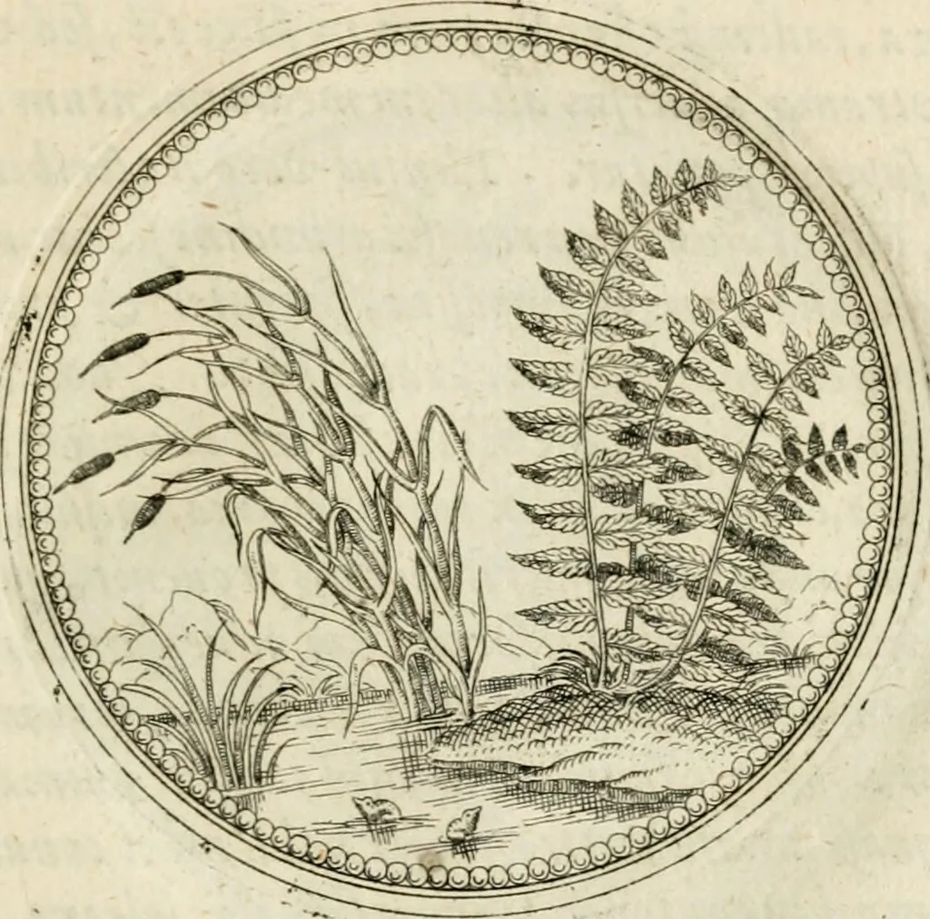 An illustration from Symbolorvm & emblematvm ex re herbaria desvmtorvm centvria vna, 1590, leaf 198