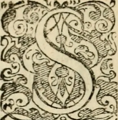 An illustration from Symbolorvm & emblematvm ex re herbaria desvmtorvm centvria vna, 1590, leaf 199