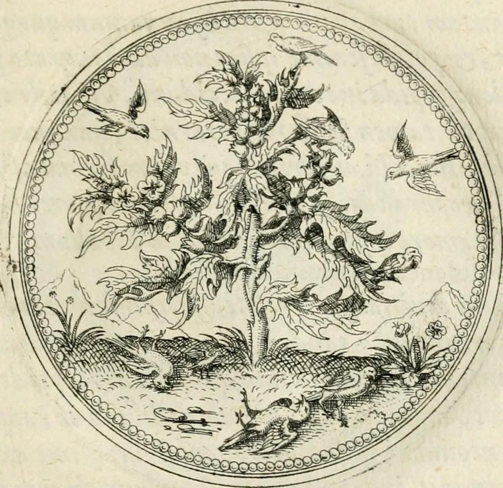 An illustration from Symbolorvm & emblematvm ex re herbaria desvmtorvm centvria vna, 1590, leaf 204