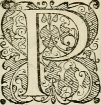An illustration from Symbolorvm & emblematvm ex re herbaria desvmtorvm centvria vna, 1590, leaf 211