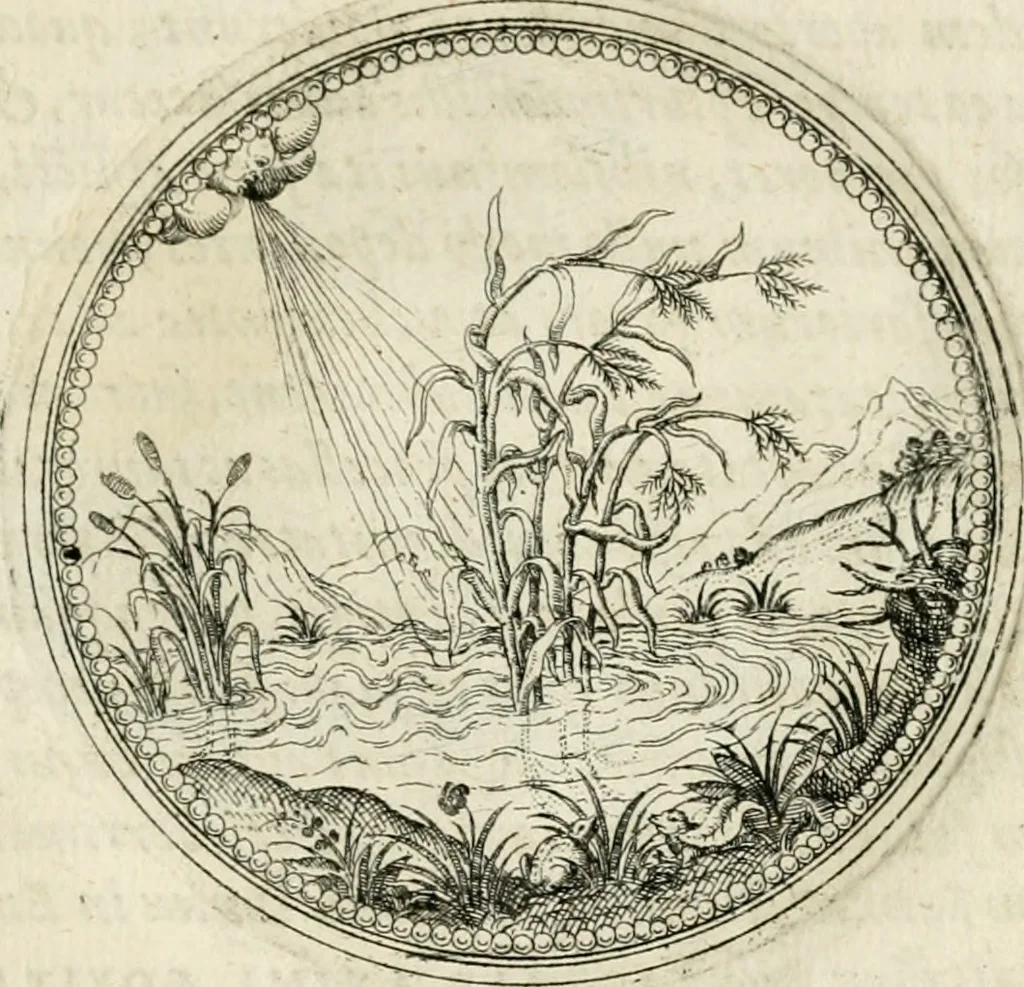 An illustration from Symbolorvm & emblematvm ex re herbaria desvmtorvm centvria vna, 1590, leaf 224