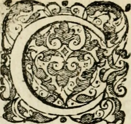 An illustration from Symbolorvm & emblematvm ex re herbaria desvmtorvm centvria vna, 1590, leaf 225