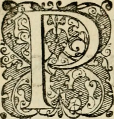 An illustration from Symbolorvm & emblematvm ex re herbaria desvmtorvm centvria vna, 1590, leaf 231