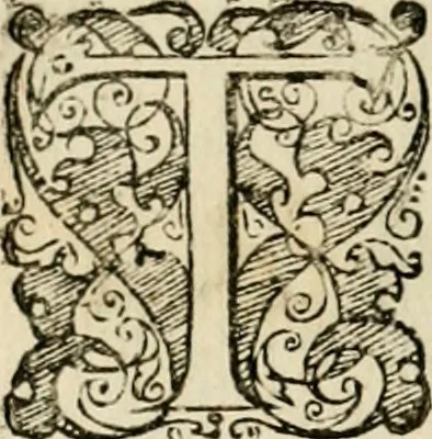 An illustration from Symbolorvm & emblematvm ex re herbaria desvmtorvm centvria vna, 1590, leaf 233
