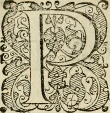 An illustration from Symbolorvm & emblematvm ex re herbaria desvmtorvm centvria vna, 1590, leaf 39