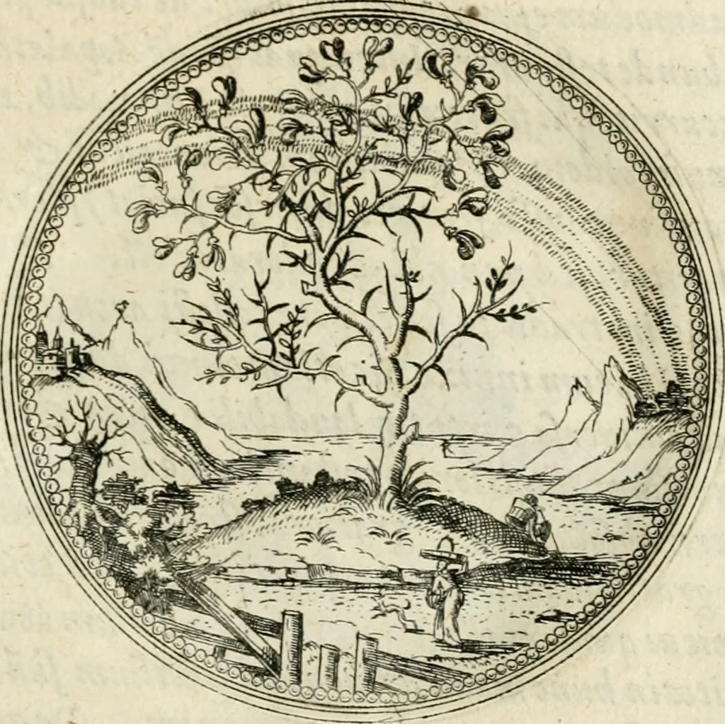 An illustration from Symbolorvm & emblematvm ex re herbaria desvmtorvm centvria vna, 1590, leaf 42