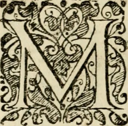 An illustration from Symbolorvm & emblematvm ex re herbaria desvmtorvm centvria vna, 1590, leaf 45