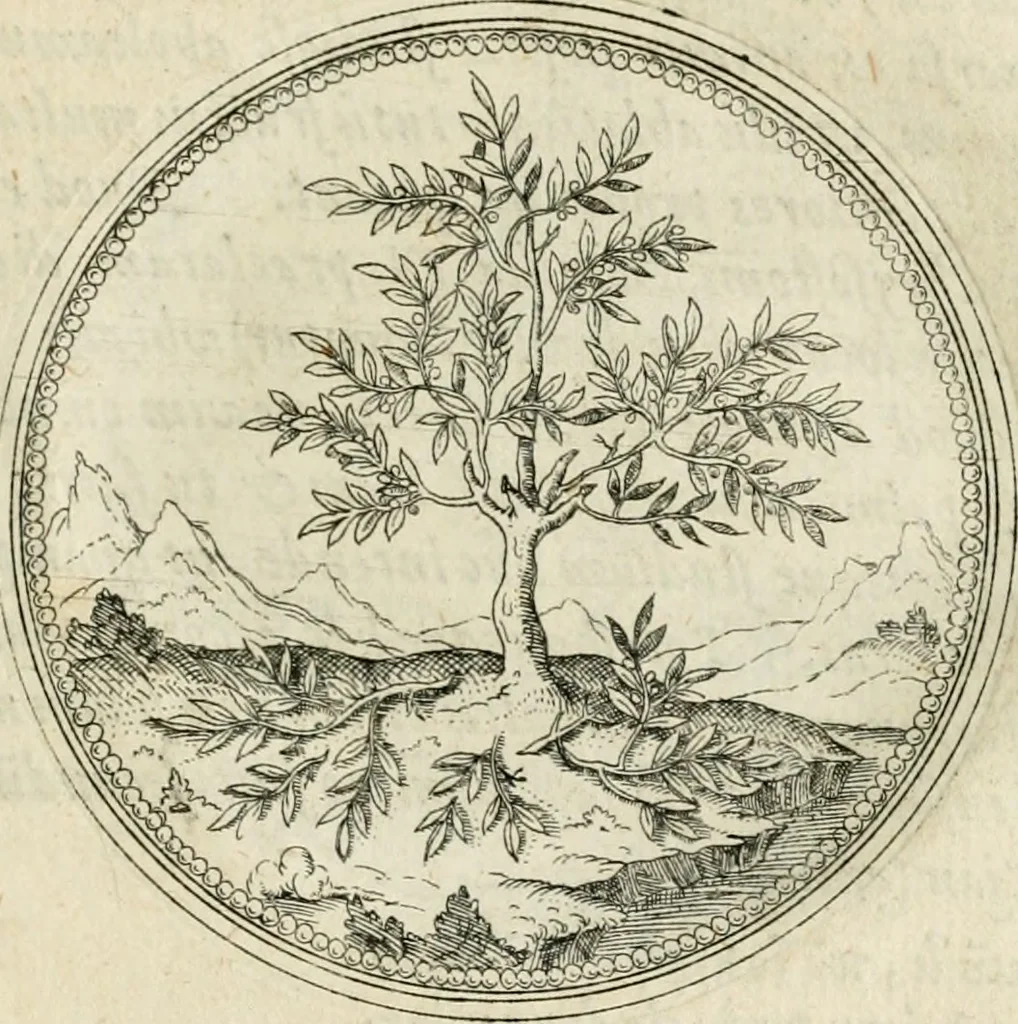 An illustration from Symbolorvm & emblematvm ex re herbaria desvmtorvm centvria vna, 1590, leaf 46