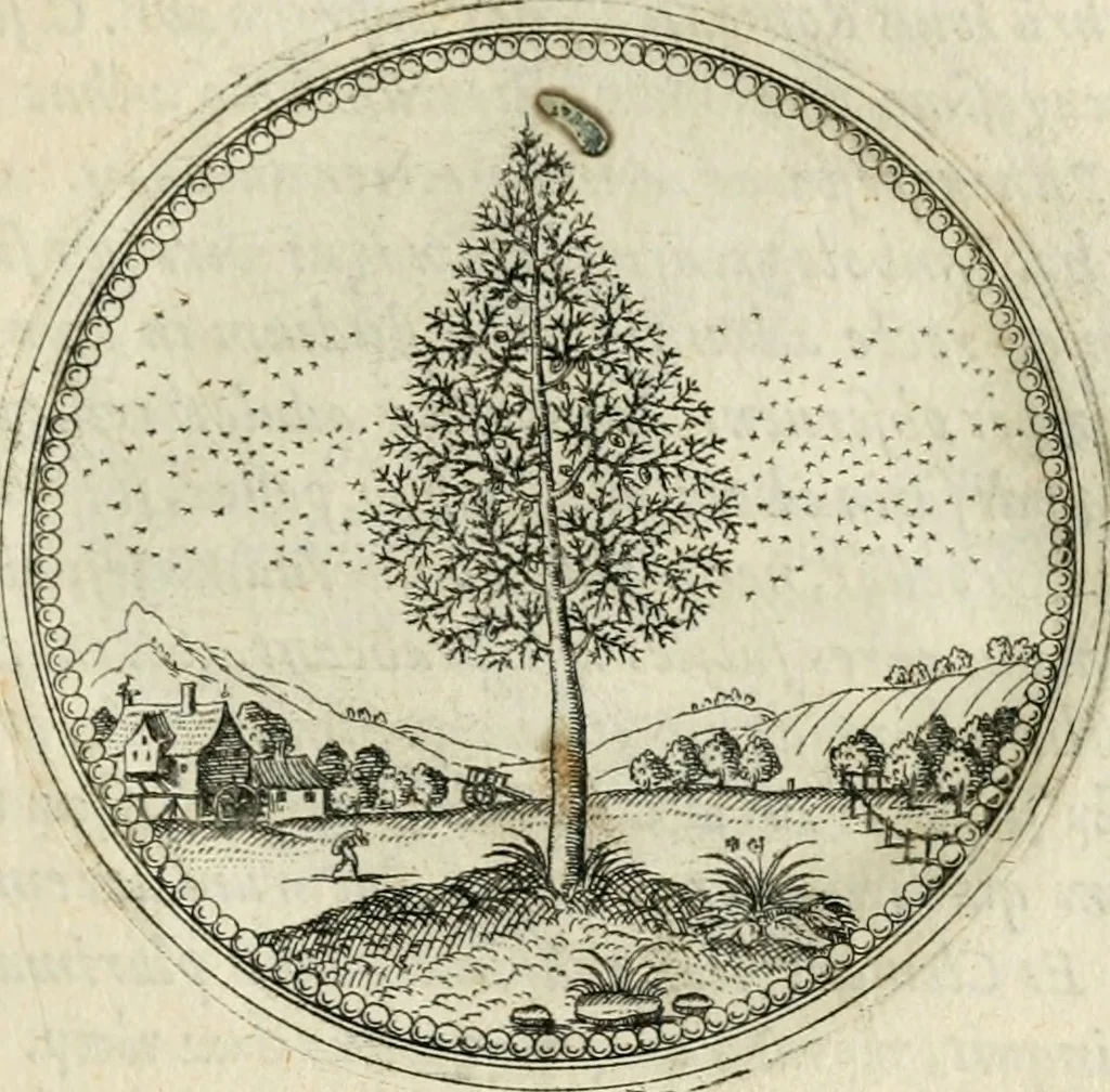 An illustration from Symbolorvm & emblematvm ex re herbaria desvmtorvm centvria vna, 1590, leaf 48