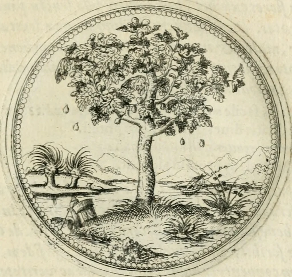 An illustration from Symbolorvm & emblematvm ex re herbaria desvmtorvm centvria vna, 1590, leaf 52