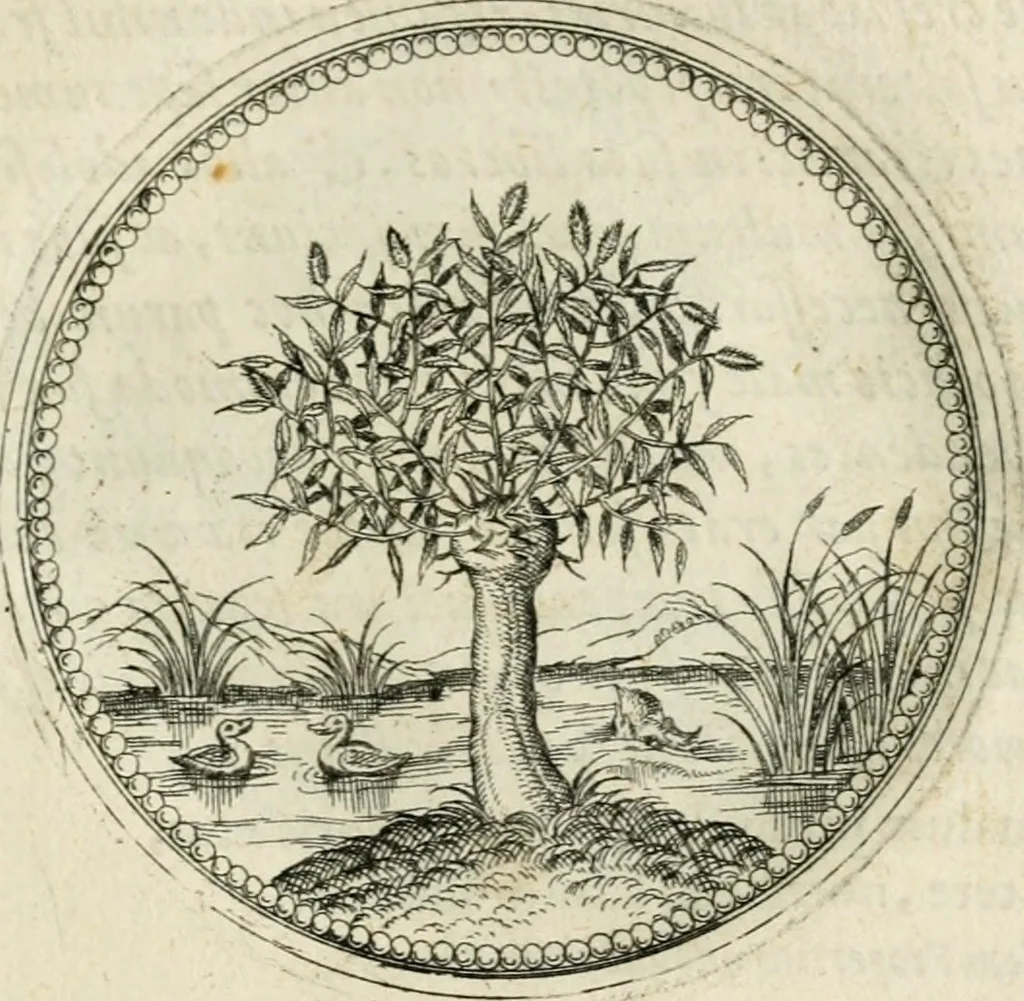 An illustration from Symbolorvm & emblematvm ex re herbaria desvmtorvm centvria vna, 1590, leaf 54