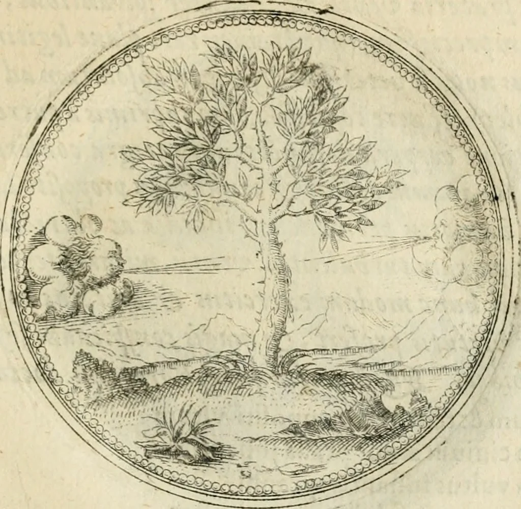 An illustration from Symbolorvm & emblematvm ex re herbaria desvmtorvm centvria vna, 1590, leaf 56