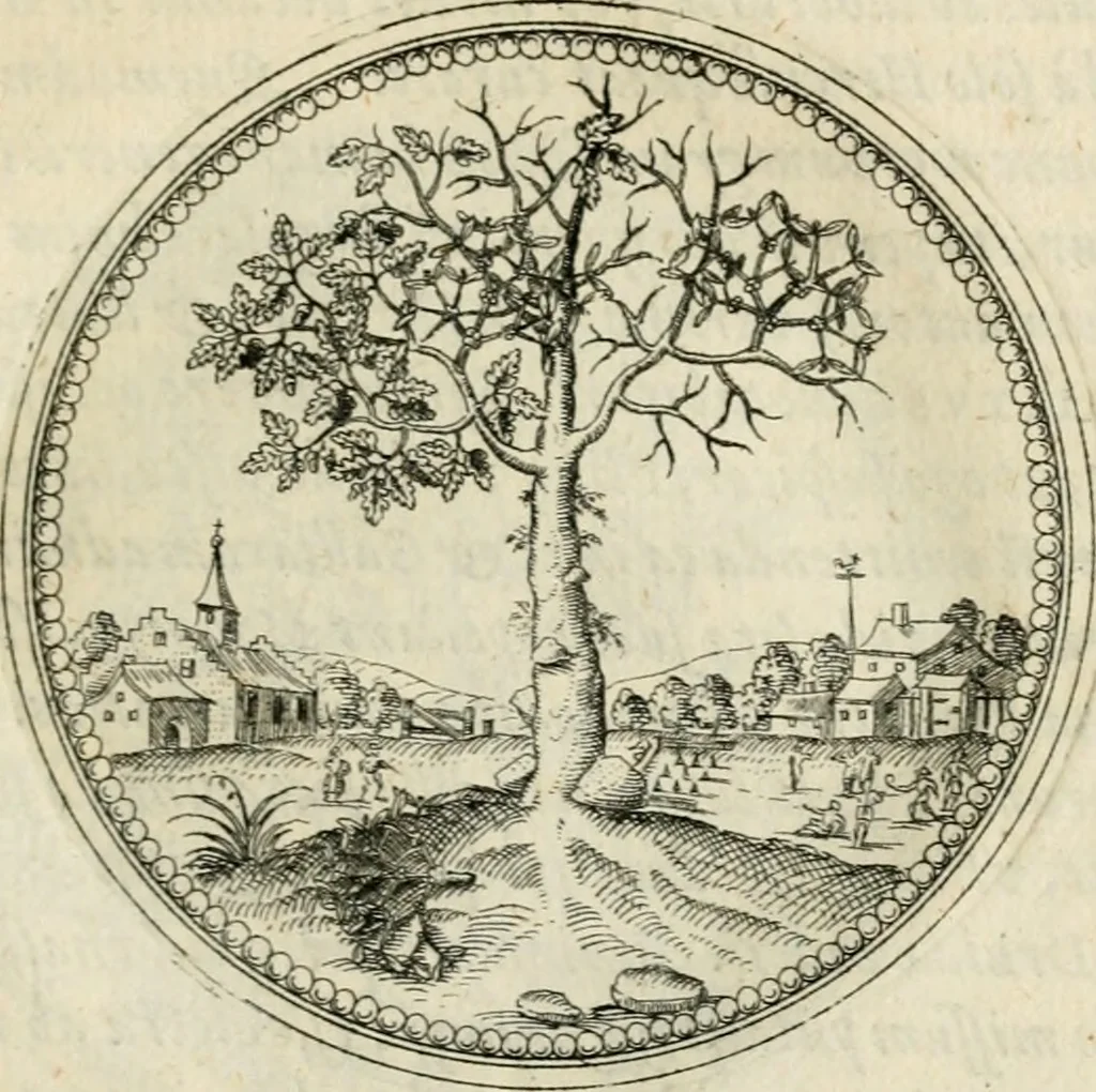 An illustration from Symbolorvm & emblematvm ex re herbaria desvmtorvm centvria vna, 1590, leaf 58