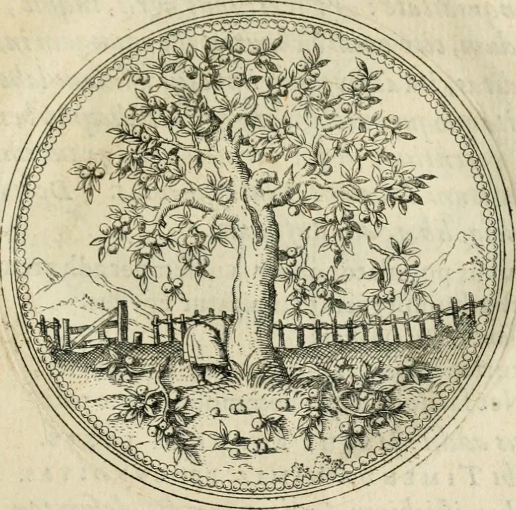 An illustration from Symbolorvm & emblematvm ex re herbaria desvmtorvm centvria vna, 1590, leaf 60