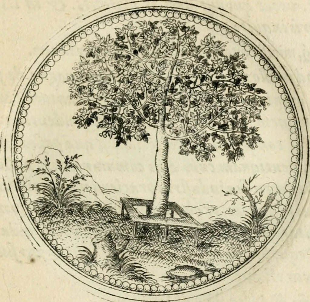 An illustration from Symbolorvm & emblematvm ex re herbaria desvmtorvm centvria vna, 1590, leaf 72