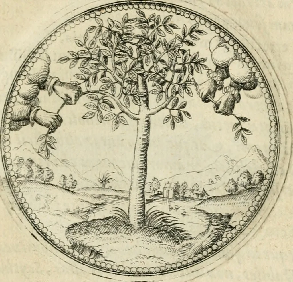 An illustration from Symbolorvm & emblematvm ex re herbaria desvmtorvm centvria vna, 1590, leaf 76