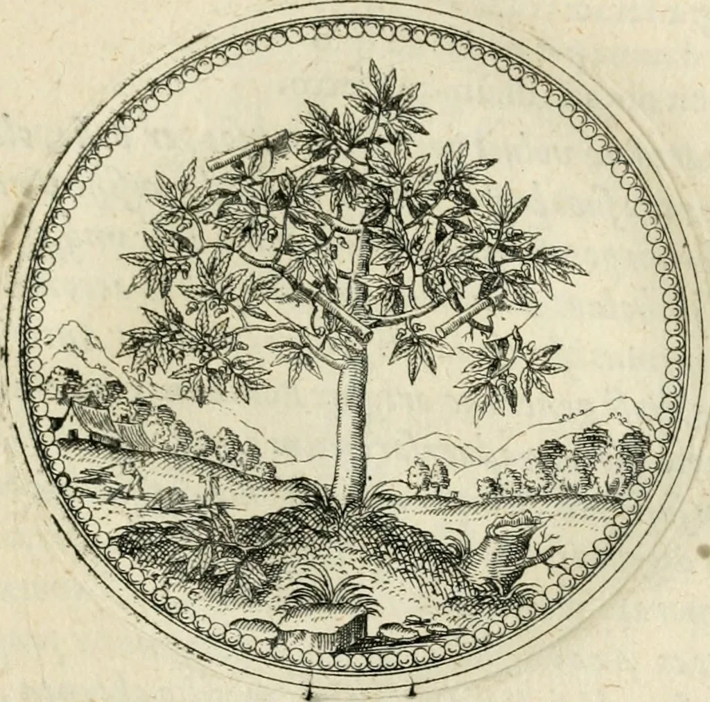 An illustration from Symbolorvm & emblematvm ex re herbaria desvmtorvm centvria vna, 1590, leaf 84