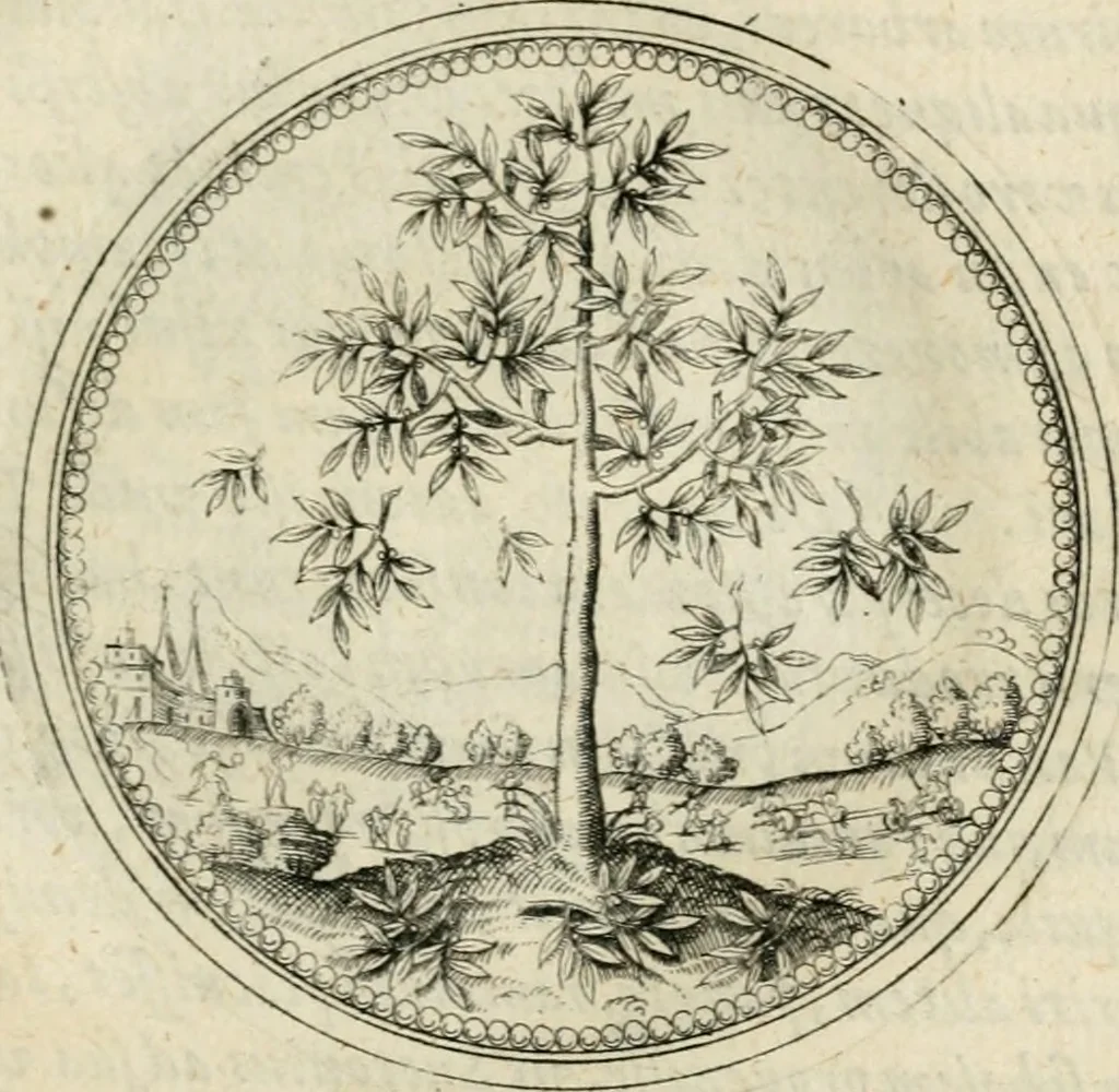 An illustration from Symbolorvm & emblematvm ex re herbaria desvmtorvm centvria vna, 1590, leaf 90