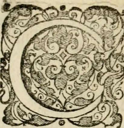 An illustration from Symbolorvm & emblematvm ex re herbaria desvmtorvm centvria vna, 1590, leaf 91