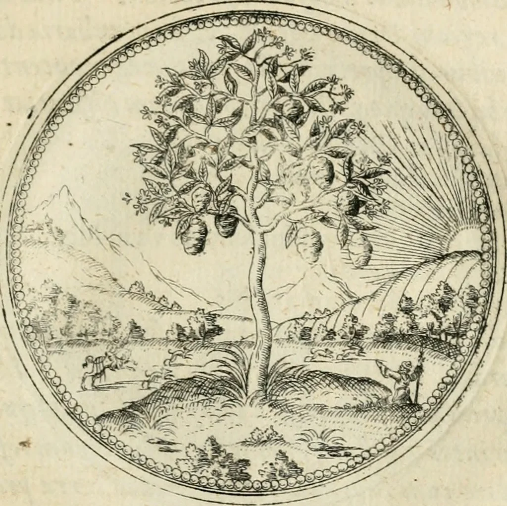 An illustration from Symbolorvm & emblematvm ex re herbaria desvmtorvm centvria vna, 1590, leaf 92