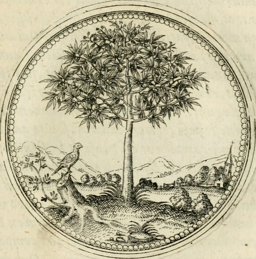An illustration from Symbolorvm & emblematvm ex re herbaria desvmtorvm centvria vna, 1590, leaf 96