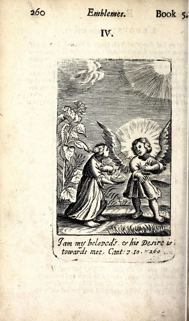 An illustration from Emblemes, 1709, leaf 274