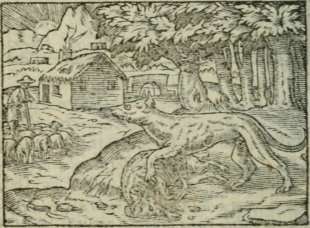 An illustration from Emblemes d'Alciat : en latin et francois vers povr vers, 1574, leaf 101