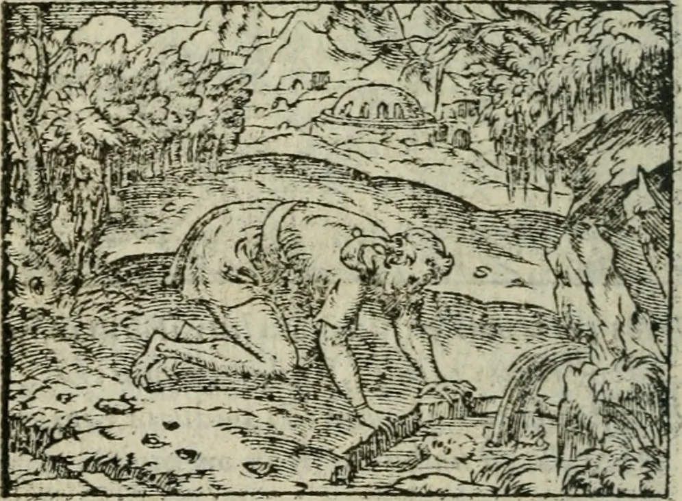 An illustration from Emblemes d'Alciat : en latin et francois vers povr vers, 1574, leaf 105