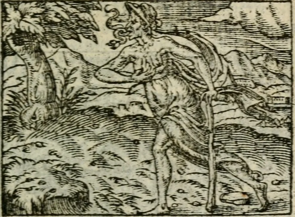 An illustration from Emblemes d'Alciat : en latin et francois vers povr vers, 1574, leaf 108