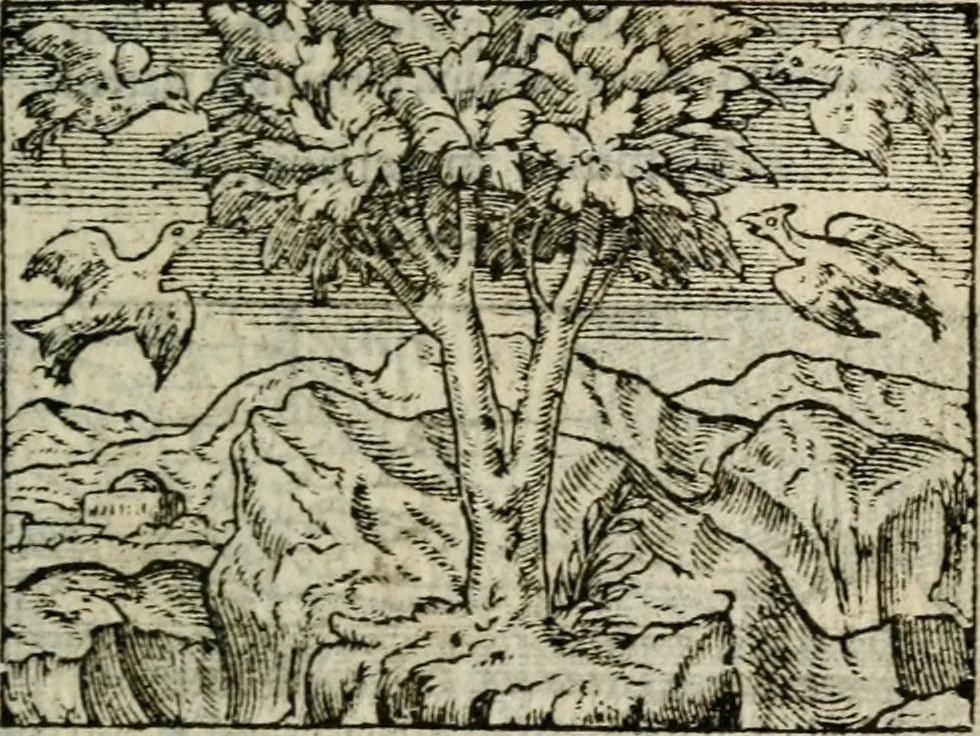 An illustration from Emblemes d'Alciat : en latin et francois vers povr vers, 1574, leaf 110