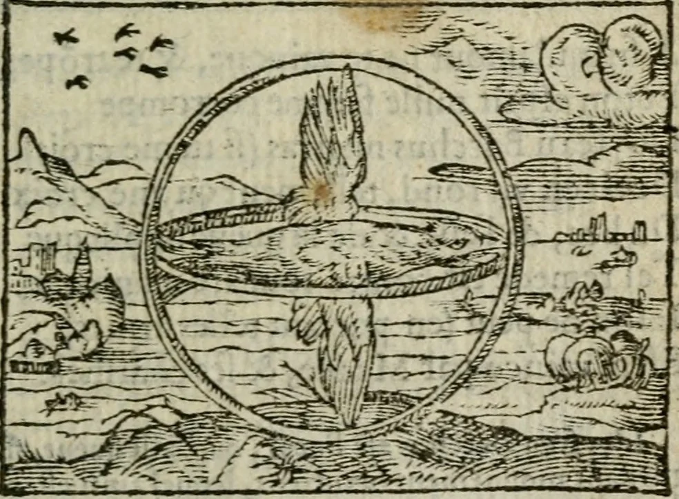 An illustration from Emblemes d'Alciat : en latin et francois vers povr vers, 1574, leaf 116