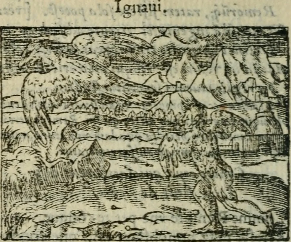 An illustration from Emblemes d'Alciat : en latin et francois vers povr vers, 1574, leaf 123