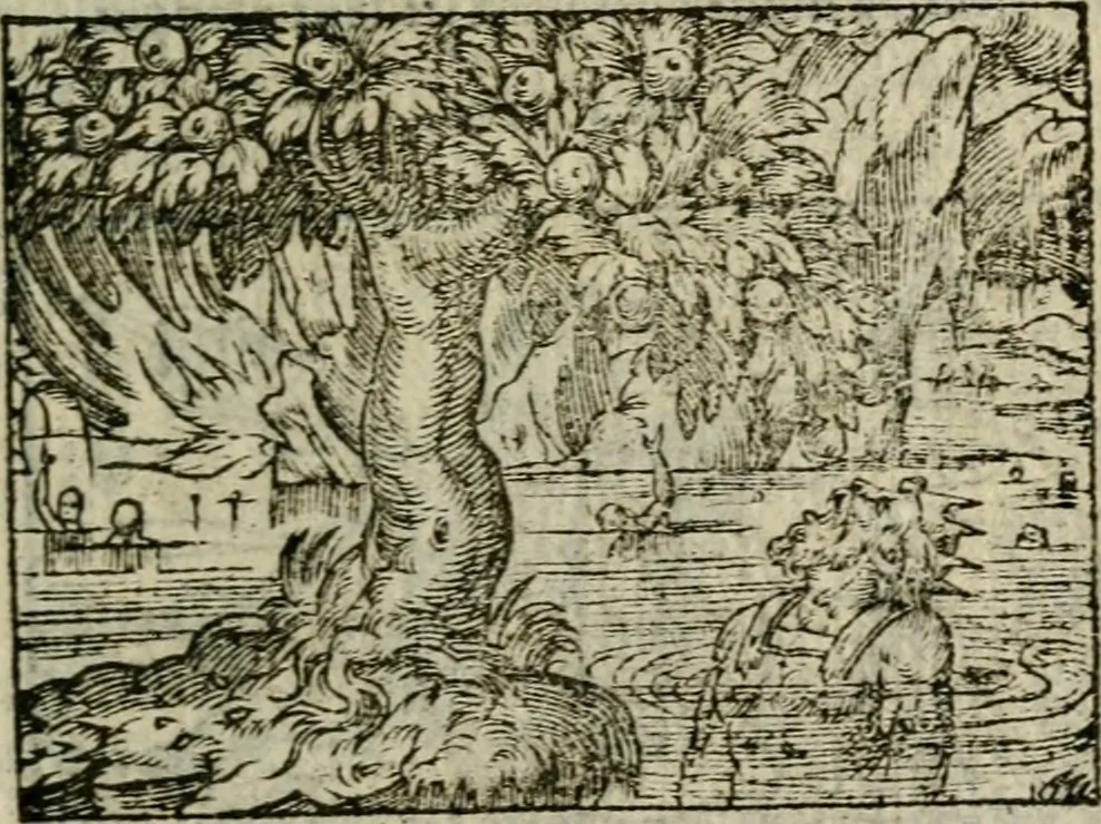 An illustration from Emblemes d'Alciat : en latin et francois vers povr vers, 1574, leaf 124