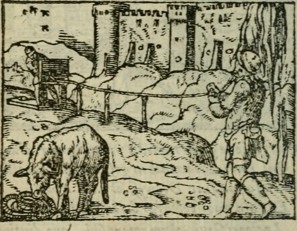 An illustration from Emblemes d'Alciat : en latin et francois vers povr vers, 1574, leaf 133
