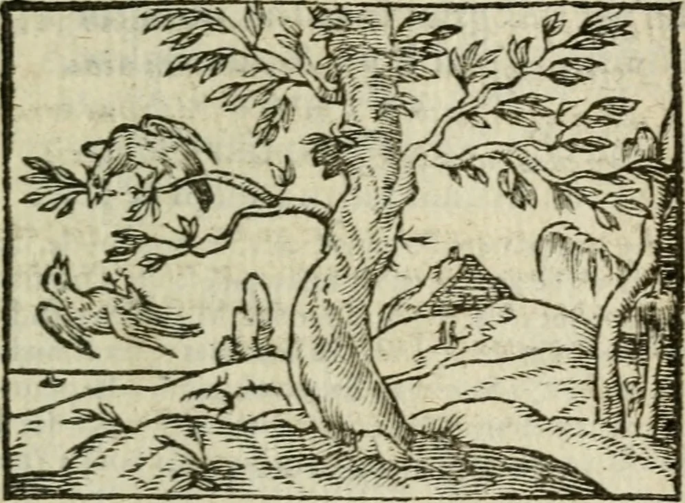An illustration from Emblemes d'Alciat : en latin et francois vers povr vers, 1574, leaf 136