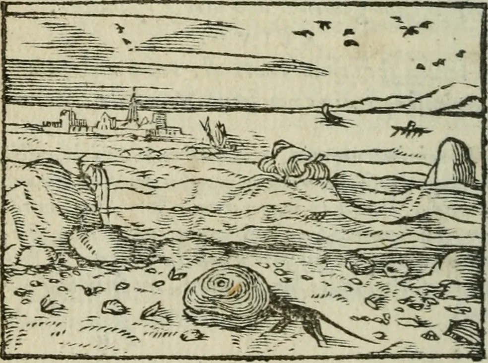 An illustration from Emblemes d'Alciat : en latin et francois vers povr vers, 1574, leaf 137