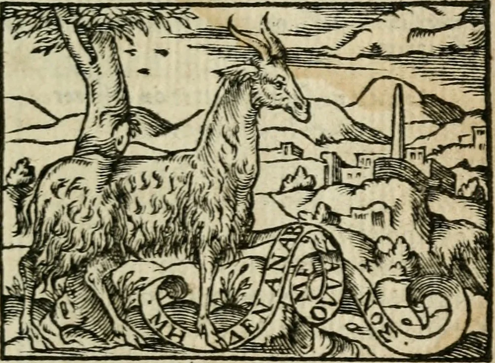 An illustration from Emblemes d'Alciat : en latin et francois vers povr vers, 1574, leaf 14