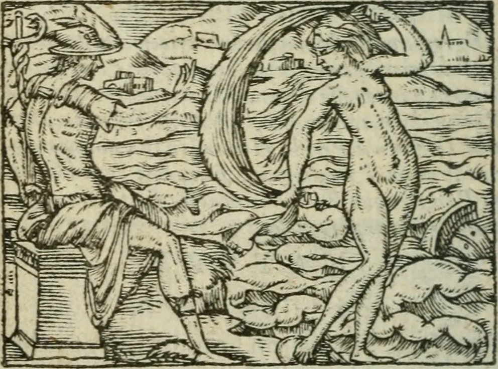 An illustration from Emblemes d'Alciat : en latin et francois vers povr vers, 1574, leaf 145