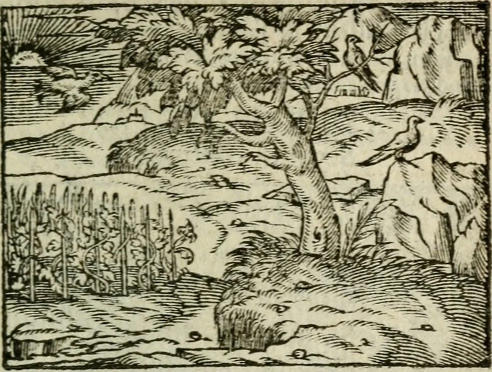 An illustration from Emblemes d'Alciat : en latin et francois vers povr vers, 1574, leaf 148
