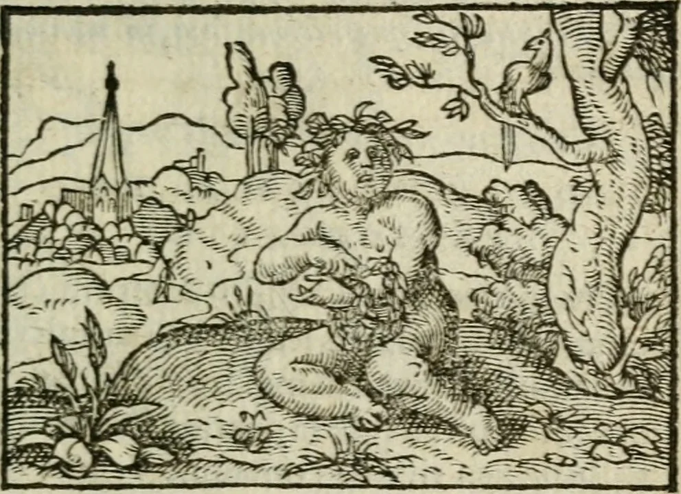 An illustration from Emblemes d'Alciat : en latin et francois vers povr vers, 1574, leaf 160
