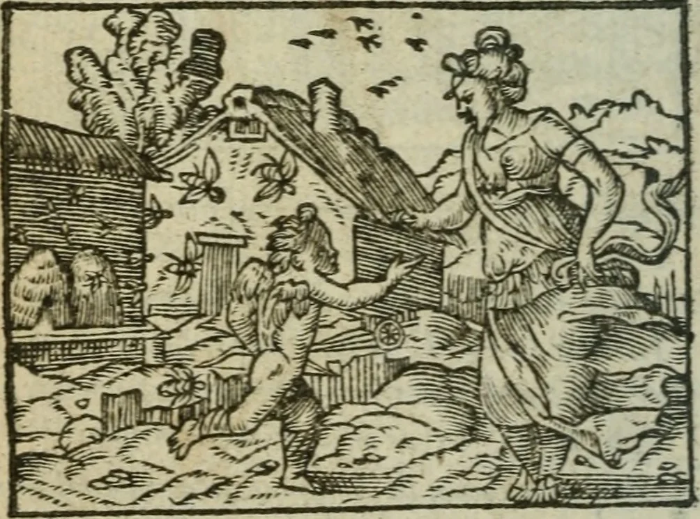 An illustration from Emblemes d'Alciat : en latin et francois vers povr vers, 1574, leaf 163