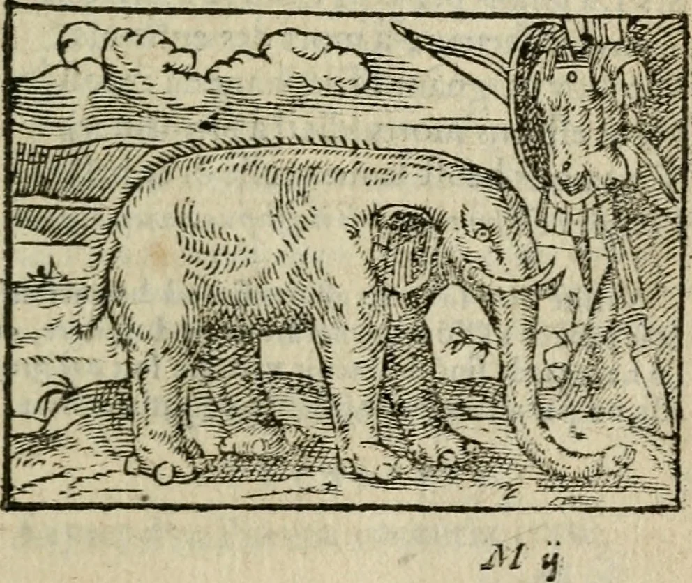 An illustration from Emblemes d'Alciat : en latin et francois vers povr vers, 1574, leaf 184