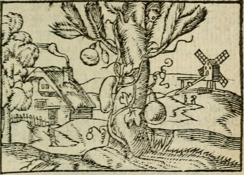 An illustration from Emblemes d'Alciat : en latin et francois vers povr vers, 1574, leaf 186