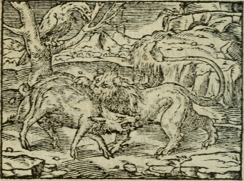 An illustration from Emblemes d'Alciat : en latin et francois vers povr vers, 1574, leaf 187