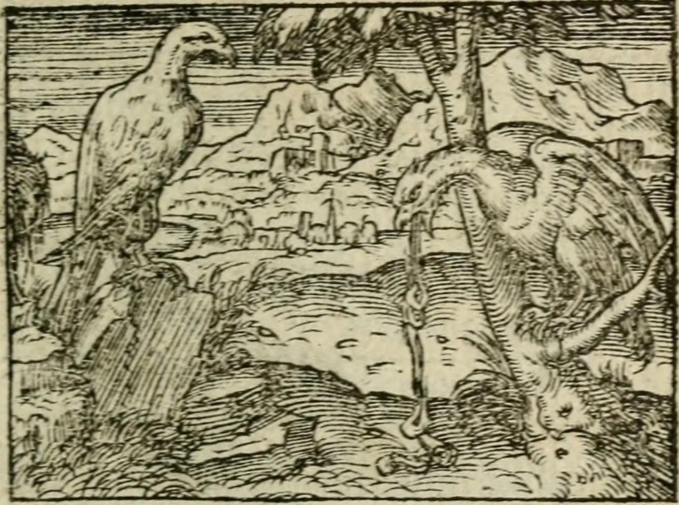 An illustration from Emblemes d'Alciat : en latin et francois vers povr vers, 1574, leaf 192